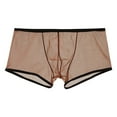 thumbnail image 2 of rygai Men Panties U Convex Color Matching Stretchy Low Waist Mesh See Through Underpants Underwear for Sleeping,Coffee M, 2 of 8