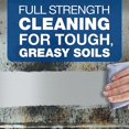 thumbnail image 4 of Dawn Professional Heavy-Duty Degreaser 32oz Bottle 6 Bottles/Carton 04854, 4 of 6