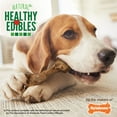 thumbnail image 6 of Nylabone Healthy Edibles WILD All-Natural Long Lasting Chew Treats Bison Medium (2 Count), 6 of 13