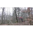 thumbnail image 3 of Reipal Type V RH-Tree Pusher Tree Jack from Sweden Pushing Hardwood Trees Safely, 3 of 6