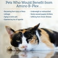 thumbnail image 6 of Rx Vitamins Amino B Plex Cat & Dog Supplement - Vitamin B Complex Liquid Plus Amino Acids for Dogs & Cats - Appetite Booster and Weight Gainer Cat & Dog Vitamins - 4 oz, 6 of 8