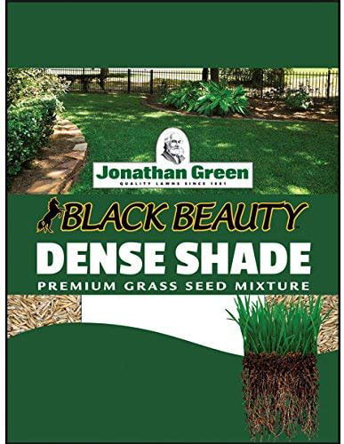 Jonathan Green 10600 Black Beauty Dense Shade Grass Seed Mixture 3 Lb 