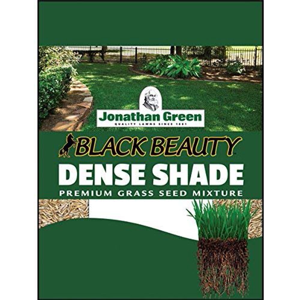 Jonathan Green JOG10600 40600 Dense Shade Grass Seed, 3 lb, 3Pound