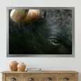 thumbnail image 3 of Designart 'Close-Up Of Eye Fighting Bull Head ' Farmhouse Framed Art Print, 3 of 4