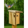 thumbnail image 4 of Rustic Lodge Bark Edge Birdhouse Medium Size, 4 of 4