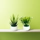 thumbnail image 2 of Juego de 2 plantas en maceta Mini plantas Pequeñas plantas artificiales decorativas con maceta de plástico blanco para el hogar, 2 of 7