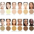 thumbnail image 6 of Dermaflage 4-Pack Applicators – Tan, 6 of 8