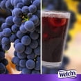 thumbnail image 3 of Welch's On the Go Water Drink Mix Grapes Flavor No Sugar Gluten Free and Low-Calorie Powdered Beverages for Home Lunch Office Gym Picnic Camping Indoor Outdoor Drinks 6 Sticks Pack of 6, 3 of 7