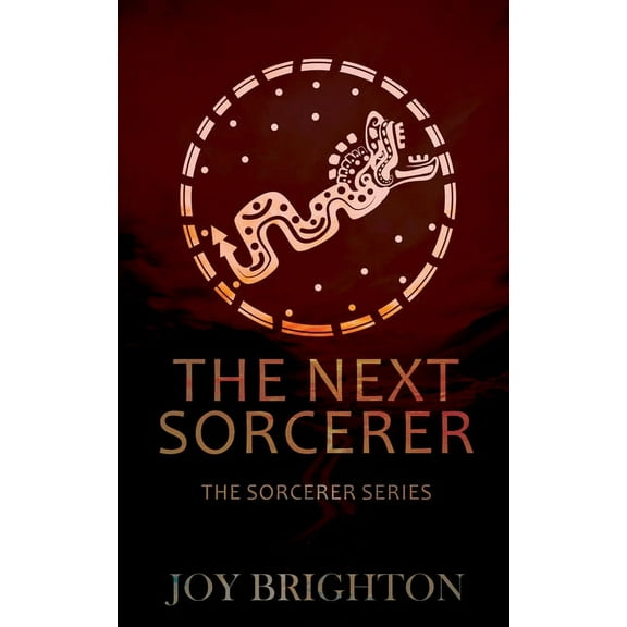 The Next Sorcerer: The Next Sorcerer (Series #1) (Paperback)
