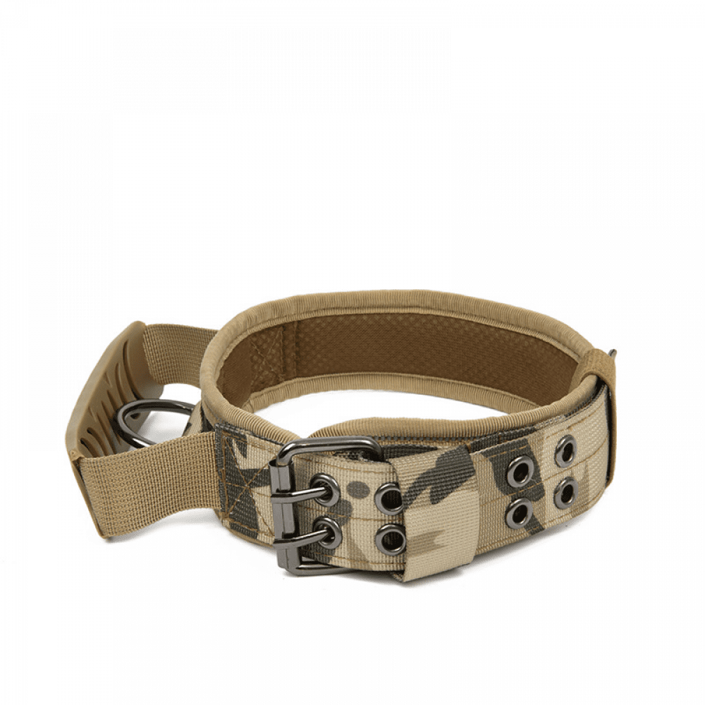 Belt for rottweiler sale