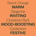 thumbnail image 4 of Plant Therapy Citrus & Cinnamon Linen and Pillow Spray, Warm & Inviting Aroma, Mood-Boosting for the Holiday Season, Adds a Festive Touch to Your Home, Natural Fragrance 8 oz, 4 of 9