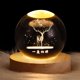 thumbnail image 3 of InnotechSC Figuras de Delfines 3D de Regalo de Ciervos en Bola de Cristal de 60 Mm con Esfera de Vidrio Grabado con Láser Decoración Del Hogar con Base de Luz de Madera, 3 of 5