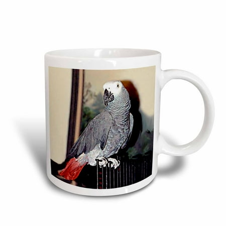 - 3dRose African Grey Parrot, Ceramic Mug, 11-ounce