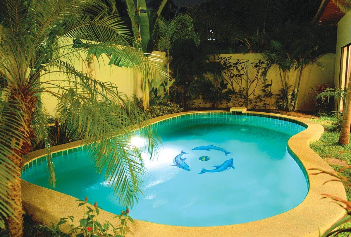 Dolphin Group Ceramic Swimming Pool Mosaic Multi, 42" x 42"