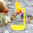 thumbnail image 4 of unbranded 6Ud Bebedero Para Gallinas Amarillo Fácil De Instalar Para Uso Doméstico Y Granjas, 4 of 7
