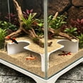 thumbnail image 4 of SouMaox Aquarium Tunnel Decor, Fish Cave Viewing Hideout with Two Holes, Shrimp Hiding Tube for Aquascaping, Fish Ornament, 1.57" x 4.72" x 4.72" White, 4 of 6
