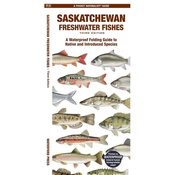 Saskatchewan Fishes: A Folding Pocket Guide to All Known Native and Introduced Freshwater Species (Paperback)