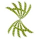 thumbnail image 5 of 12 piezas de plumas de pavo para flechas de tiro con arco Amarillo fluorescente, 5 of 9