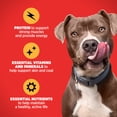 thumbnail image 5 of Gravy Train Beefy Classic Dry Dog Food, 13 lb. Bag, 5 of 11
