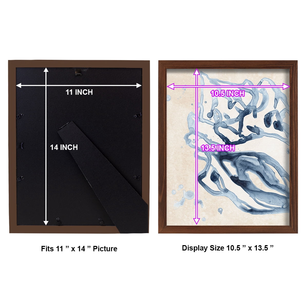 Water Shells II - Framed Print w/glass - Chestnut