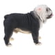 thumbnail image 1 of Modelo de Animal de Plástico de Juguete de Negro de Emulación para Decoración para hogar de Yotijar Figuras de animales de juguete, 1 of 9