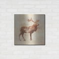 thumbnail image 3 of Luxe Metal Art 'Elk Study v2' by Studio Mousseau, Metal Wall Art, 24"x24", 3 of 7
