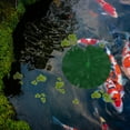 thumbnail image 4 of UPGRATOR 1Jgo Plásticas Para Acuario Natural Fácil Mantenimiento Y Durabilidad, 4 of 8