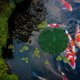 thumbnail image 1 of unbranded 1Jgo Decorativas Artificiales Para Acuario En Resistente Y, 1 of 7