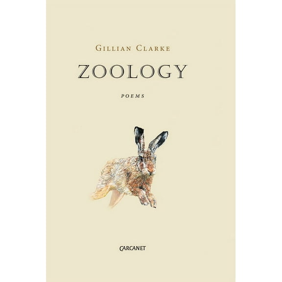 Zoology, (Paperback)