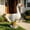 L, variant on Large Porch Goose Statue 20 Inch - Resin Hollow Garden Goose with Sand-Fillable Base for Outdoor Patio Lawn Decoration, Dress-Up Ready for Holidays