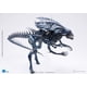 thumbnail image 2 of Figura de acción Hiya Toys Alien contra Predator Alien Queen 1:18, 2 of 8