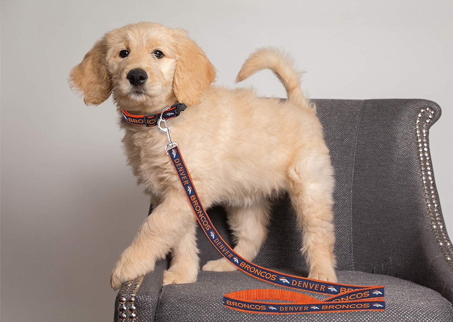 Denver Broncos Leash