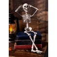 thumbnail image 2 of Sunstar 19 in Halloween Poseable Skeleton, 2 of 5