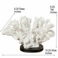 thumbnail image 3 of Realistic Faux White Coral Statue, Realistic Fan Shaped Specimen, Tendrils, Beveled Dark Gallery Base, 6 1/4 Diameter, 10 1/4 Inches Long, Crafted By Hand, Cast Poly Resin, 3 of 5