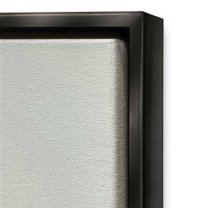 Stupell Industries Desert Plant Leaves Sunlit Starry Haired Woman Graphic Art Jet Black Floating Framed Canvas Print Wall Art, Design by Birch&Ink