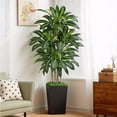 thumbnail image 6 of Keeplush 6FT Artificial Dracaena Tree with Planter, Indoor Faux Plant, Tall, Potted, 6 of 7