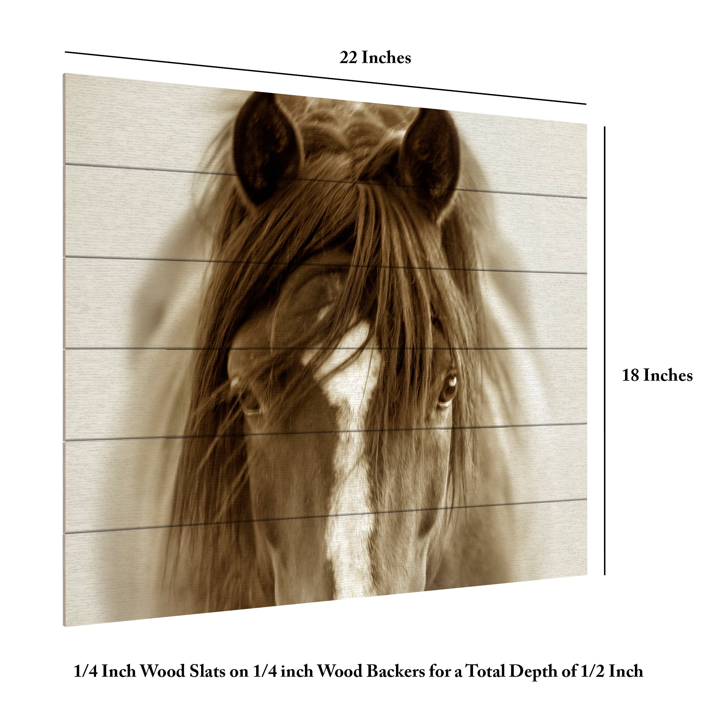 Lisa Dearing 'Ghost Horse' Wood Slat Art 18x22