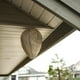 thumbnail image 5 of WDOplteas 6pcs 11x8.7 Pollici Friendly Wasp Nest Decoy Repellente Hanging Wasp, 5 of 5