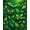 Green, Pattern 3, variant on Flatwoven High Traffic Area Rug, Artful Insect Flora Motif, Non Slip, Stain Resistant, Washable Area Rugs for Living Room, Bedroom(Green, 3X5)
