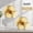 Gold1, variant on Suction Cup Hooks for Shower - Removable Towel Hooks for Bathroom, Glass Door, Wall, Bathrobe & Loofah Hanging - 4 Pack, Chrome Finish