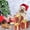 Red, variant on Jioakfa Christmas Decorations Indoor, Set Of 3 Christmas Lighted Gift Boxes For Battery Operated 60 Led Xmas Present Ornament For Tree Indoor Outdoor Yard Holiday Door Decor- Warm White Christmas