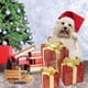 thumbnail image 1 of Juego de 3 cajas navideñas iluminadas con luces LED para decoración de exteriores, ideal como regalo para el jardín, 3 pilas AA (no incluidas)., 1 of 5