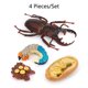 thumbnail image 5 of Bewildely 1 Juego de modelo de gusano de pala, Material plástico Premium, figuritas de insectos significativas, modelos de crecimiento educativo temprano Juguetes Educativos Iongicornio NO1 Bewildely FN010083-00, 5 of 6