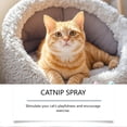 thumbnail image 4 of Cat Energizing Spray For Interactive Play Scene Attraction Spray Ideal For Scratching Posts 60ml, 4 of 5