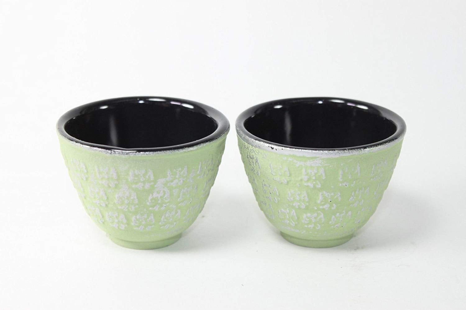 Japanese Southern Gongfu Cast Iron Teapot – Umi Tea Sets