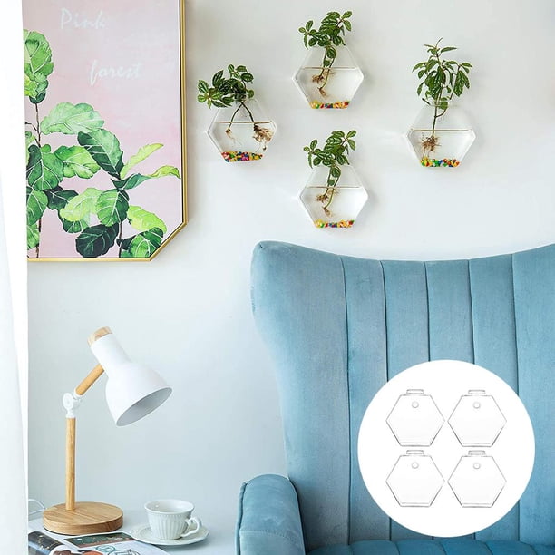 4 Uds. s para colgar en , jardineras de cristal, terrarios, s de cristal, jarrones colgantes de cristal para plantas, terrarios, c Colco Florero para colgar en la pared