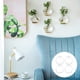 thumbnail image 1 of 4 Uds. s para colgar en , jardineras de cristal, terrarios, s de cristal, jarrones colgantes de cristal para plantas, terrarios, c Colco Florero para colgar en la pared, 1 of 8