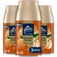 thumbnail image 1 of Recarga para Aerosol Automático Glade Calabaza y Jengibre 175 ml Paquete de 3, 1 of 7