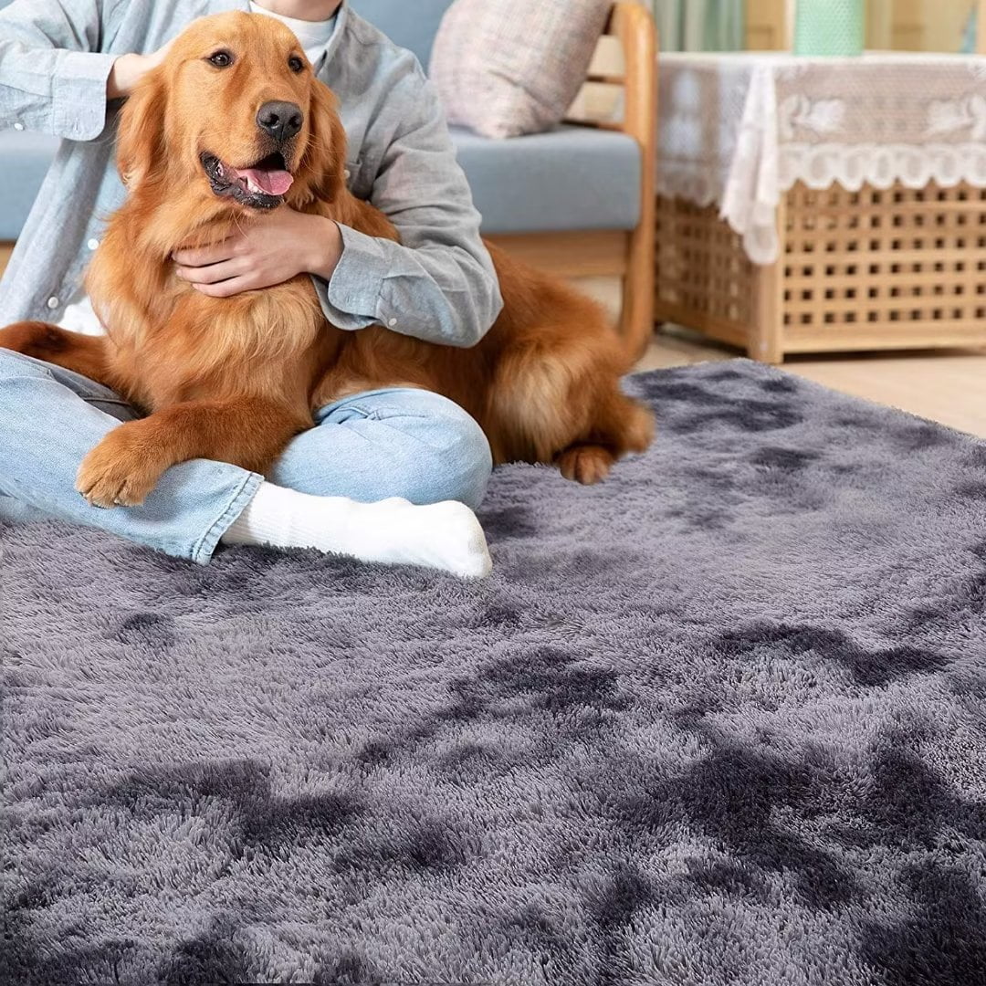 CAROMIO 5 x 8 feet Luxury Fluffy Area Rug Faux Fur Rug Skin Friendly Baby Crawling Carpet for Living room, Dark Grey
