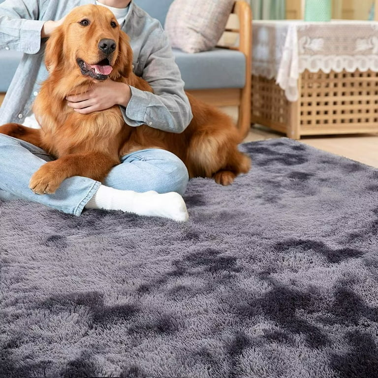 Area Rugs for Bedroom Living Room, 4ft x 6ft Navy Blue Fluffy Carpet for  Teens Room, Shaggy Throw Rug Clearance for Nursery Room, Fuzzy Plush Rug  for